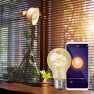 SmartLife LED Filamentlamp | Wi-Fi | E27 | 360 lm | 4.9 W | Warm tot Koel Wit | 1800 - 6500 K | Glas | Android™ / IOS | Peer | 1