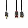 Stereo-Audiokabel | 3,5 mm Male | 2x RCA Male | Verguld | 2.00 m | Rond | Antraciet | Doos