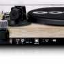 Platenspeler met Bluetooth®-overdracht Pine