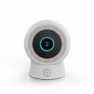 SmartLife Camera voor Buiten | Wi-Fi | Spotlight | 3MP Full HD 1296p | IP65 | Cloud Opslag (optioneel) / microSD (niet inbegrepe