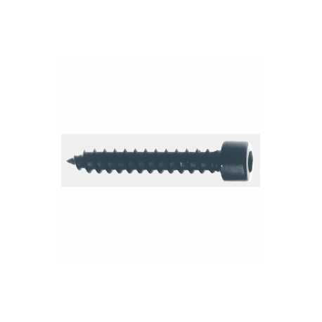 Schroeven (cilinderkop) 5 x 30 mm