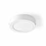 SmartLife Plafondlamp | Wi-Fi | Koel Wit / Warm Wit | Rond | Diameter | 800 lm | 2700 - 6500 K | IP20 | Energieklasse: G | Andro