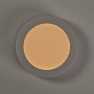 SmartLife Plafondlamp | Wi-Fi | Koel Wit / Warm Wit | Rond | Diameter | 800 lm | 2700 - 6500 K | IP20 | Energieklasse: G | Andro