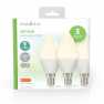 LED-Lamp E14 | Kaars | 2.8 W | 250 lm | 2700 K | Warm Wit | Frosted | 3 Stuks